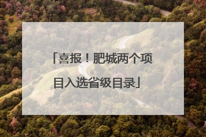 喜报！肥城两个项目入选省级目录